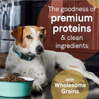 CANIDAE Pure Limited Ingredient Premium Adult Dry Dog Food, Real Beef & Barley Recipe, 4 lbs, with Wholesome Grains