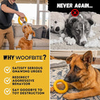 Indestructible Dog Chew Toy - Lifetime Replacement - Durable Toy for Aggressive Chewers - Safe Non-Toxic Natural Rubber - Chew, Tug & Fetch - Tough, Heavy Duty - Med/Large Breed, 6.5”x1.25”