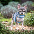 Mile High Life Dog Harness, Air Mesh Floral Vest Harness for 20 lbs Small Dogs & Cats, Easy Get on Adjustable Easy Closures Both Neck and Chest(Gray Tree, XS Chest 14"-16")