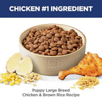 Hill's Science Diet Large Breed Puppy Food, DHA to Support Healthy Development, Chicken & Brown Rice Dry Dog Food, 15.5 lb. Bag