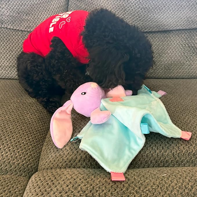 SPOT Soothers - Blanket - Soft and Cuddly Dog & Puppy Toy with Lavender Scented Beads to Calm and Relax Your Pet, Provides Separation Anxiety Relief Due to Travel, Thunder and Loud Noises