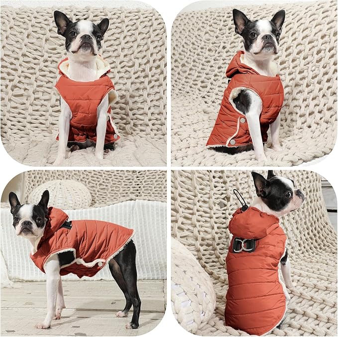 Fleece Lining Dog Hoodie with Harness Built in,Extra Warm Medium Dog Jacket in Winter Doggie Coats with Drawstring Hooded,Orange XL