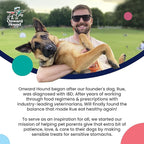 Onward Hound Training Treats for Dogs - Soft Salmon - Low Calorie Dog Training Treats for Sensitive Stomachs with Single Source Premium Protein, Corn Free, & Soy Free Formula - 10 oz