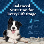 Blue Buffalo Wilderness High-Protein Rocky Mountain Recipe Dry Food for Puppies, Red Meat & Grains, 24-lb Bag