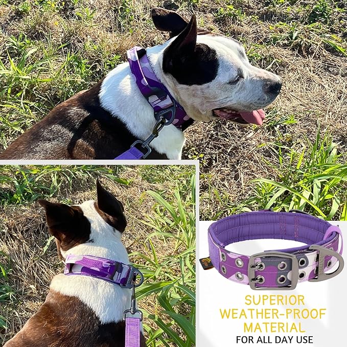 ADITYNA Heavy Duty Dog Collar for Large Dogs - Camo Purple Collar with Handle for Training, and Walking - Wide, Thick, Tactical, Soft Neoprene Padded