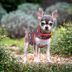 Mile High Life Velcro Dog Harness, Air Mesh Floral Vest Harness for 20 lbs Small Dogs & Cats, Easy Get on Adjustable Easy Closures Both Neck and Chest(Red Tree, S Chest 16"-18")