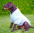 Tuff Pupper Dog Hoodie | Premium Quality 100% Organic Cotton | Ultra Soft Interior for Superior Comfort | Elastic Cuffs & Drawstring for Warmth | Stretch Fit Suitable for All Breeds (Gray, 3XL)
