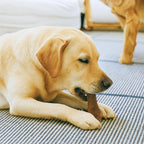Wholesome Pride Natural & Healthy Dog Chews 2Pk for Large Dogs, Bacon Flavor, Made in The USA