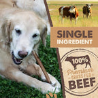 Mighty Paw Naturals Bully Sticks for Dogs - Grass Fed Beef Chews. Dog Bully Sticks for Large Pets, Medium and Small Breeds. Lower Odor Treats for Small Pets. Single Ingredient (12" - 5 Pack)