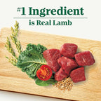 Nutro Natural Choice Lamb & Brown Rice Adult Small Bites Dog Food Recipe, 30 lb. Bag