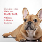 Dreambone Twist Sticks Rawhide Free Dog Chews, Made with Real Chicken, 100 Count (Pack of 1)