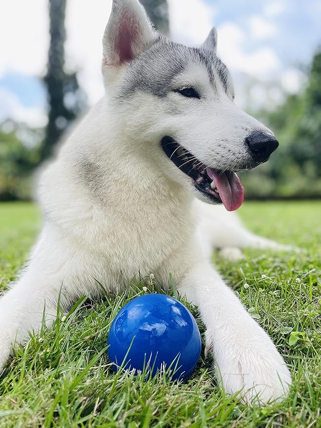 SuperChewy Tough Dog Ball Toy | Lifetime Replacement | Strong Natural Rubber | Great Dog Fetch Toy | Chew Toys for Dogs | Ultra Durable Chew Toys for Aggressive Chewers | Large Breed Tested