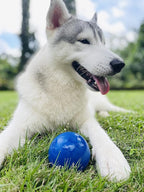 SuperChewy Tough Dog Ball Toy | Lifetime Replacement | Strong Natural Rubber | Great Dog Fetch Toy | Chew Toys for Dogs | Ultra Durable Chew Toys for Aggressive Chewers | Large Breed Tested