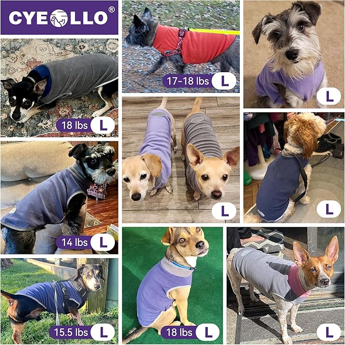 cyeollo 2 Pack Fleece Dog Sweater Pullover Sweatshirt Reflective Lightweight Dog Clothes for Small Dogs Girl Pet Apparel Purple, Grey, L