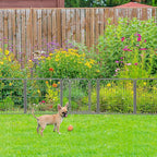 FXW Garden Fence Outdoor for The Yard – 24in(H) x 60.9ft(L) Heavy Duty Metal Animal Barrier for Dog and Rabbit, Decorative Dog Fence, 32 Panels, Silver
