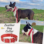 ADITYNA Heavy Duty Leather Dog Collar - Soft and Strong Red Dog Collar for Medium Breeds (Medium: Fit 13" - 20" Neck, Red)