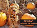 Realeaf Halloween Dog Bandanas 2 Pack, Pumpkin and Spider Web Bibs, Triangle Reversible Fall Pet Scarf, Premium Durable Fabric, Adjustable Fit (Large)