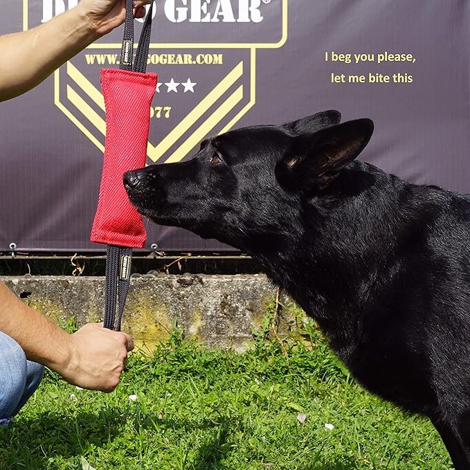 Dingo Gear French Linen tug Toy for Dog, Dog Bumper for Training, Agility, tug of war, Dog bite Pillow for Strong Dog, 2handles 11" Black S00074