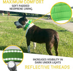 ADITYNA Heavy Duty Dog Collar for Extra-Large Dogs - Reflective Green Collar with Handle for Training, and Walking - Wide, Thick, Tactical, Soft Neoprene Padded