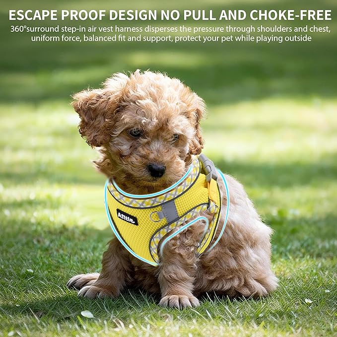 AIITLE Dog Harness and Leash Set - Ultra-Comfortable XXS-XL Vest with Strong Magic Tape & Glow-in-Dark Reflective Strips, Chafe-Free for Teddy, Schnauzer (Yellow, M)