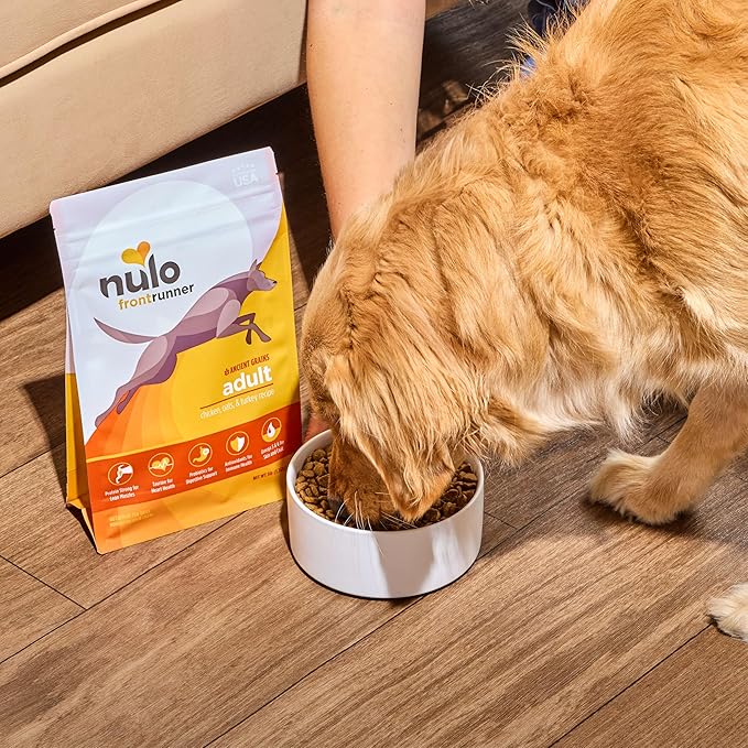 Nulo Frontrunner Ancient Grains High-Protein Dog Food, Chicken, Oats, & Turkey Recipe- Natural Dry Dog Food with Probiotics, Grain-Inclusive Kibble for Adult Dogs, 5 lb Bag