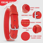 Riparo Dog Collar - Genuine Leather Dog Collars - Heavy Duty Dog Collars for Medium Large and Extra Large Dog Breeds (M: 1” Wide for 14” - 18” Neck, Red)