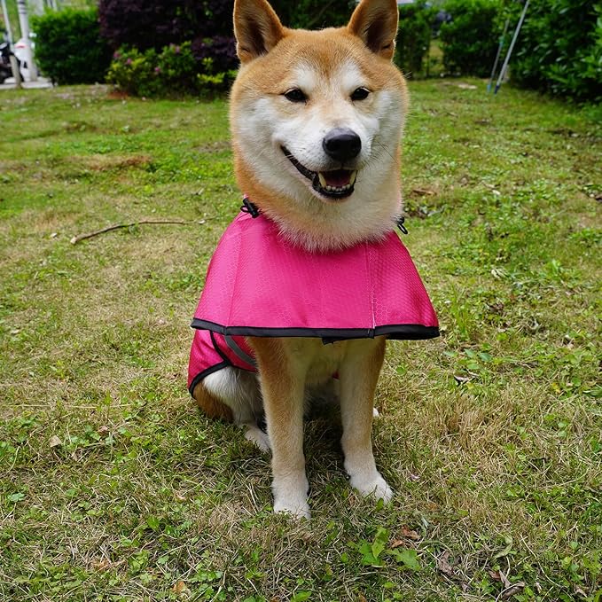 Dog Raincoat Waterproof Reflective Slicker - Lightweight Breathable Hooded Poncho Rain Coat Jacket with Adjustable Belly Strap and Leash Hole for Small Medium Large Dogs (Pink, Small)