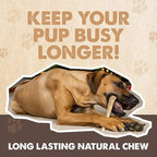 Mighty Paw Elk Antlers for Dogs | Large Size 8'' Premium Deer Antlers, Pets &Puppies. Long Lasting Aggressive Chewers. Dog Antler Chews for Large &XL Dog,1 Count (Pack of 1)