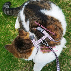 Cat Harness and Leash Set, Escape-Proof Adjustable Kitten/Cat Harness for Walking & Travel, Easy Control, Comfortable Outdoor Use, 4.1 ft, Brown