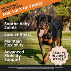 Pet Honesty Hip & Joint Health Max Strength - Natural Joint Supplement for Dogs Chews - Glucosamine, Omega-3s, Chondroitin, Green Lipped Mussel - Help Improve Mobility, May Reduce Discomfort (90 ct)