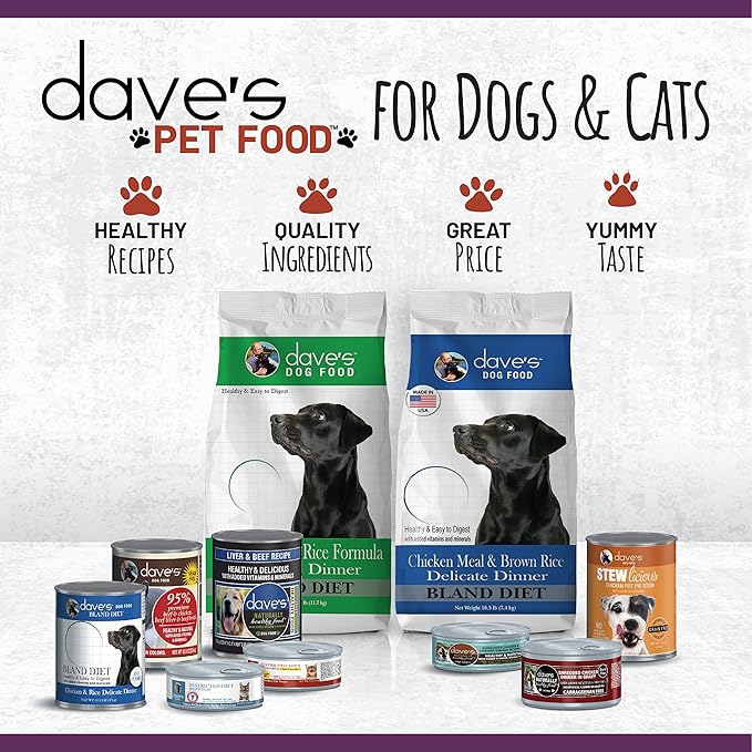 Dave's Pet Food Grain Free Wet Cat Food (Shredded Chicken & Duck in Gravy), Naturally Healthy Canned, Added Vitamins & Minerals, Wheat, Gluten, & GMO-Free, 2.8 oz (24 Pack)