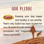 Cadet Bully Sticks for Small Dogs, All-Natural Beef Pizzle, Rawhide-Free Long-Lasting Dog Chews for Aggressive Chewers, 4 Count