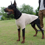 Lovelonglong Ribbed Dog T-Shirt Cotton Knitted Dog Sweaters for All Season Pet T-Shirts for Large Medium Small Dogs Beige XS