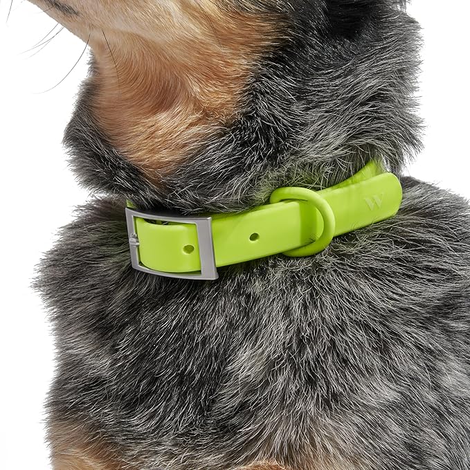 Wild One Dog Collar, Easy-Clean, All Weather Flex-Poly Strap with Metal, Durable, Dirt and Odor Resistant (Limeade, XL)