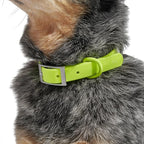 Wild One Dog Collar, Easy-Clean, All Weather Flex-Poly Strap with Metal, Durable, Dirt and Odor Resistant (Limeade, XL)