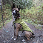 Mile High Life Dog Raincoat, Adjustable Waterproof Reflective Rain Jacket for Small Medium Large Dogs, Lightweight Breathable Pet Rain Coat with Leash Hole(Lime Yellow,M Chest 26-32")