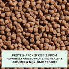 Open Farm, Grain-Free Dry Dog Food, Complete & Balanced Kibble, Sustainably & Ethically Sourced Ingredients, Non-GMO Veggies & Superfoods to Support Overall Health, Turkey and Chicken Recipe, 22lb Bag