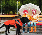 Dog Rain Coat - Waterproof, Reflective, Bright Orange with Leash Hole (2XL, Orange)