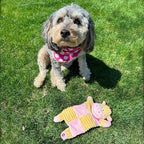 SPOT Soothers- Crinkle Paper Dog Toy-Separation Anxiety Toys for Dogs, Stuffing Free, Scented with Calming Lavender Fragrance Beads to Safely Calm & Relax Dogs and Puppies, 13in