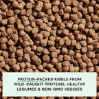 Open Farm, Grain-Free Dry Dog Food, Complete & Balanced Kibble, Sustainably & Ethically Sourced Ingredients, Non-GMO Veggies & Superfoods to Support Overall Health, Wild-Caught Salmon Recipe, 22lb Bag