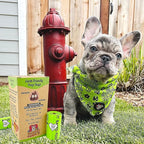 Certified Compostable Dog Poop Bags, 120 Count, Plant Based, Eco Friendly, Extra Strong, Leakproof, No Odor, Pet Supplies